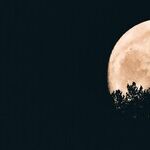 Under the Wolf Moon
