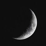 Appetite Moon on Fat Tuesday