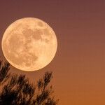 The Slow Moon Climbs