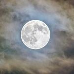 The Moon of Quiet Work