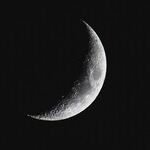 New Moon in Leo