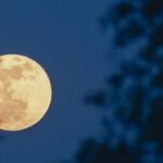 Harvest Moon Whispers