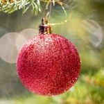 Where Have All the Christmas Decorations Gone? A Meditation on Joyless Secularism