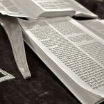 Conservatives, Too, Undergo Secular Indoctrination