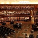 The War on Wisdom