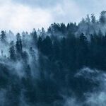 Thoughts in a Dark Time