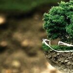 This Invasion Is Brought to You by ... Western Environmentalists