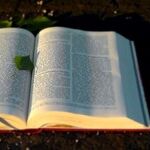 A Biblical Law That Would Change American Life