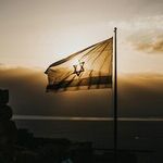 It Takes a Morally Confused World to Be Anti-Israel