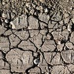 Yes, Politics Is Dirty. No, It Isn't As Dirty As You Think It Is