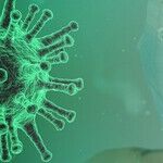 Coronavirus Is the 'Chinese Virus'