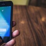 Making the World a Worse Place, One Twitter Mob at a Time