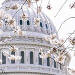 The Democrats' Exploitation of January 6 Gives Away Their Game