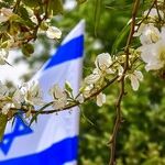 Palestinian Arab Terrorism and The West's Moral Apathy