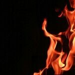 When Radicals Cheer Self-Immolation