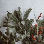 You Don't Have to Be Jewish