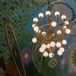 It's Not a Big Job ...