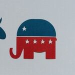 What Went Wrong for Democrats