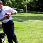 President Obama's Legacy