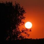Living in the Twilight