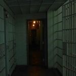Rapists Go Free Day