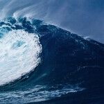 The Blue Wave That Wasn't