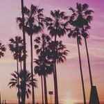 Taking Back the Venice Boardwalk