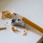 The Constitutional Question