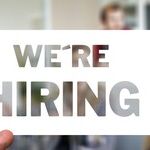 The New Job Numbers: A Healthy Economy?