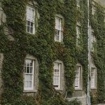 College Rankings and the Numbers Racket