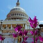 Dear Republicans, About What Matters
