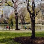 Should the Homeless Have the Constitutional Right to Sleep in Public Parks?