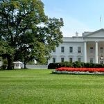 Nikki Haley's Ascent