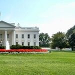 The Campaign of a Thousand Leaks