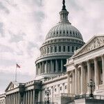 Cheers for Senator Thom Tillis