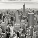 1 Every 5 Hours: NYC Late-Term Abortion Capital