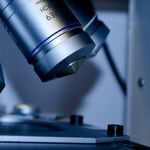 Funding of Aborted Baby Parts Research Up Under GOP