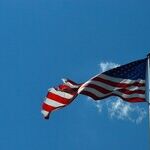 Want to Make Money? Work for the Government
