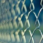 Securing America Requires a Secure Border