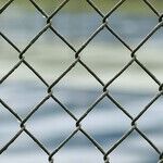 Illegal Aliens Convicted of Homicide Return to the US