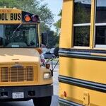 Terry McAuliffe Did Not Go to Government Schools