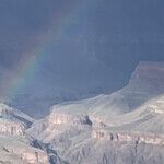 A Real Rainbow