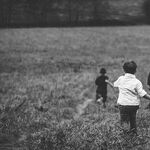 The 10 Least Free-Range Moments of 2016