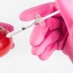 The Great GMO Freakout
