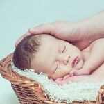 The Modern Baby