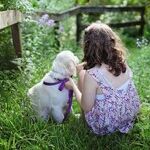 Investigated for Letting Her Kid Walk the Dog