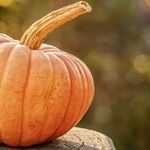 A Halloween Spooked by a Virus