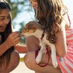 The Fastest, Cheapest Child Therapy
