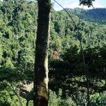 Why Our Kids Would've Died in the Jungle