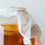 Got Kombucha?